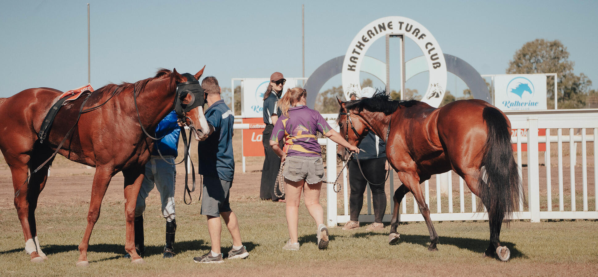 Race Day 2025 Race Day 2025