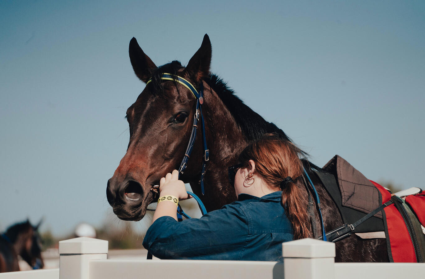 Race Day 2025 Race Day 2025