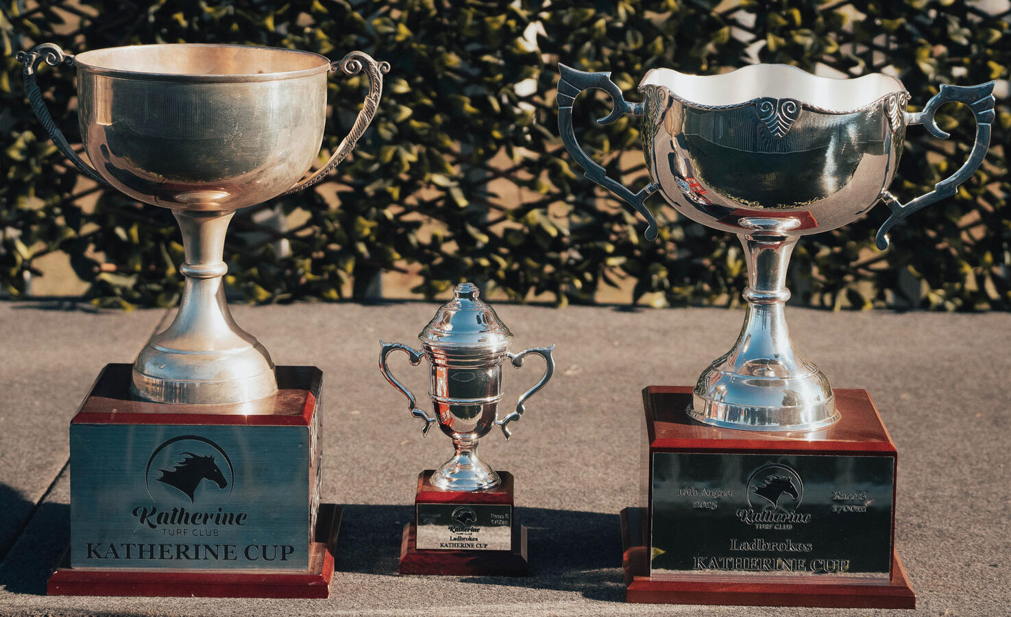 Race Day 2025 Race Day 2025